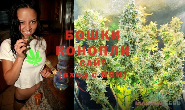 метадон Новодвинск