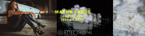 PSILOCYBIN Новозыбков