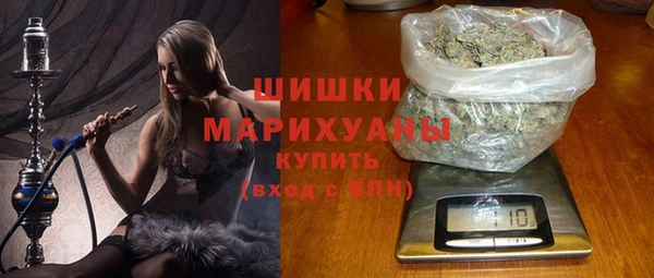 PSILOCYBIN Новозыбков